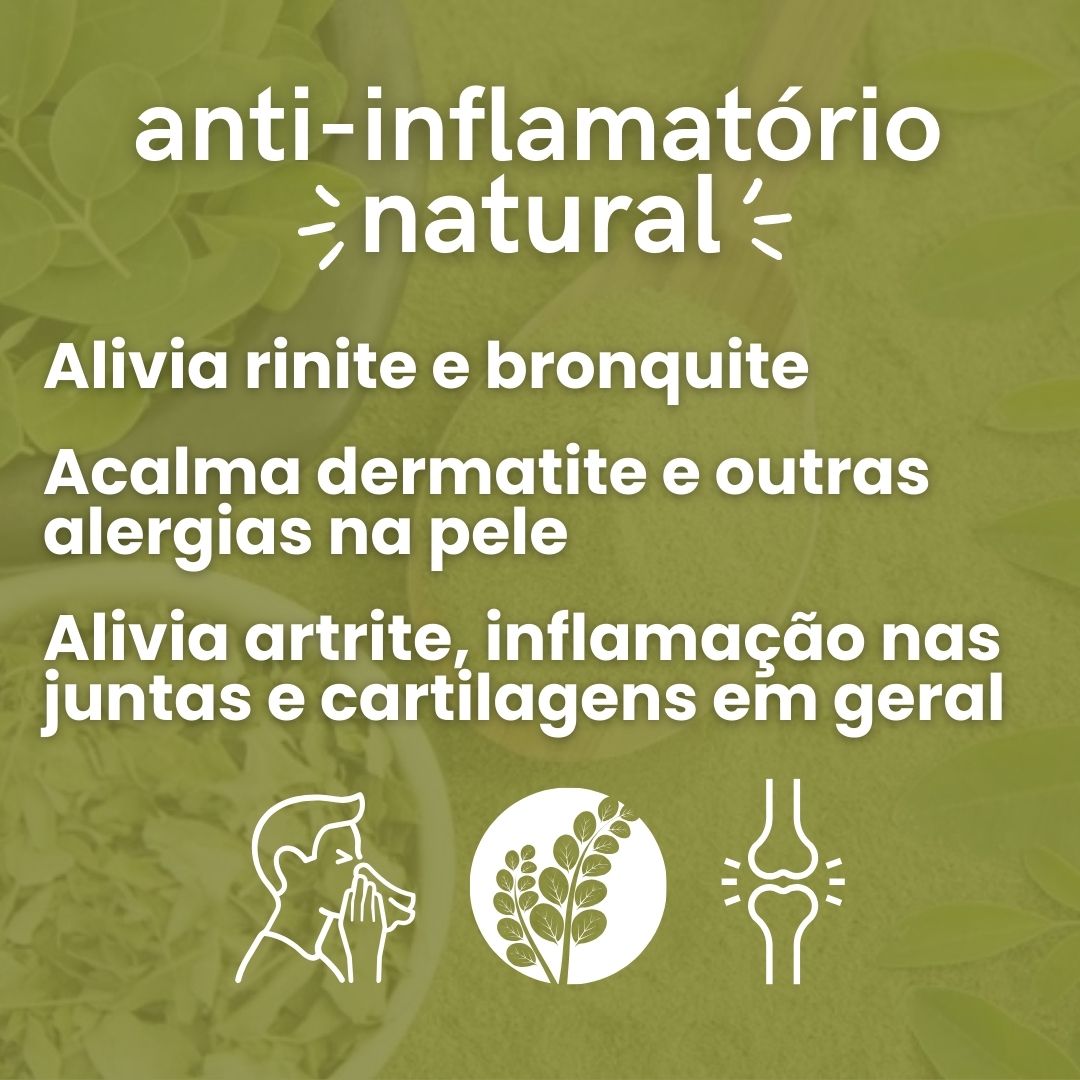 Moringa - 100% pura