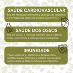 Moringa - 100% pura